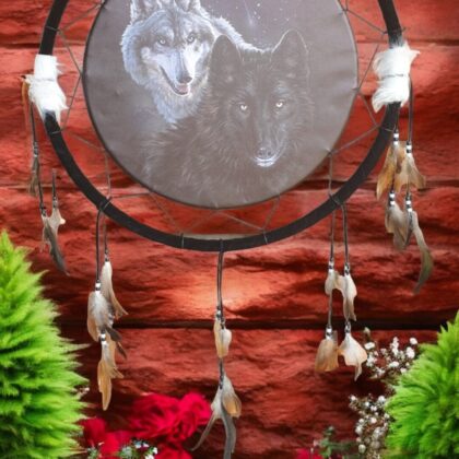 Native American Dream Catcher E