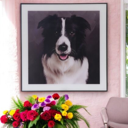 Framed Border Collie Glass Art Picture
