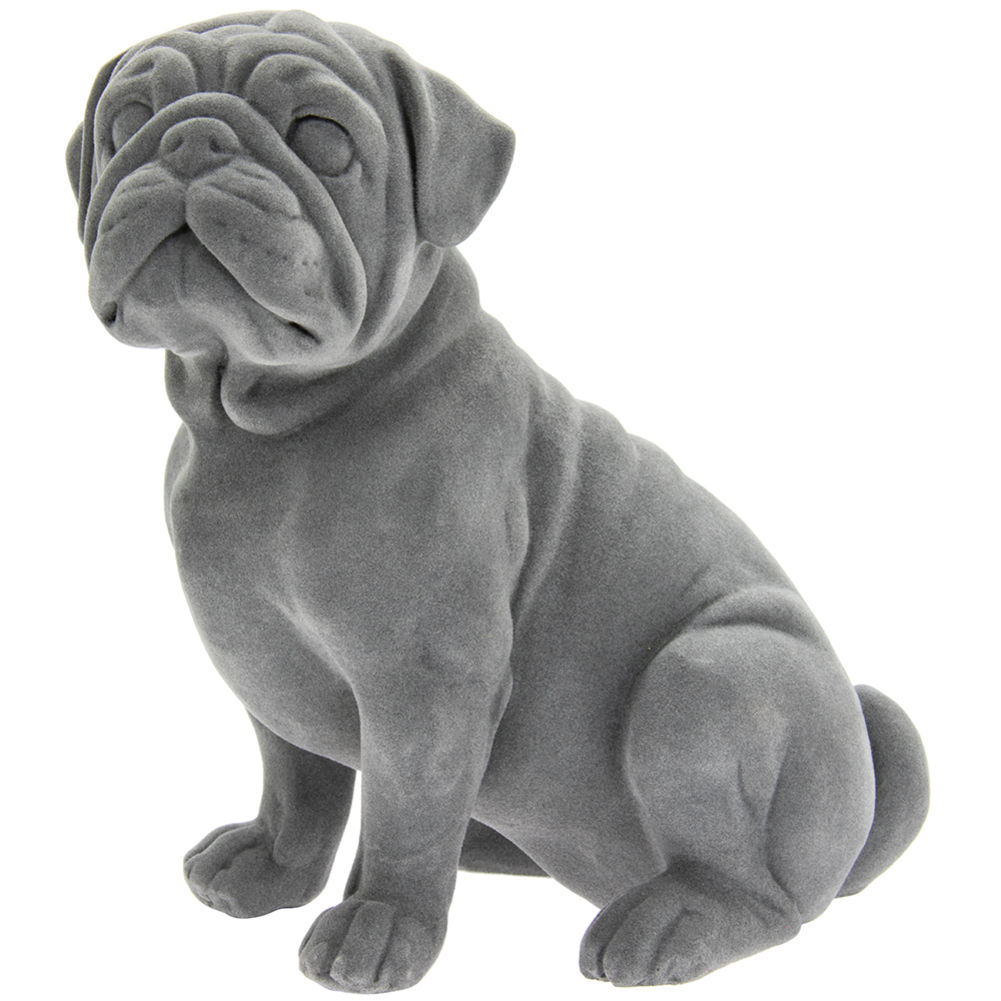 Grey store pug dog