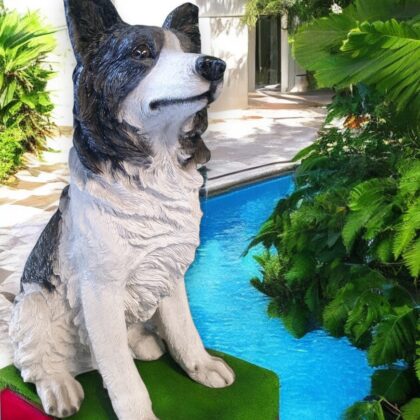 Large Sitting Border Collie Statue