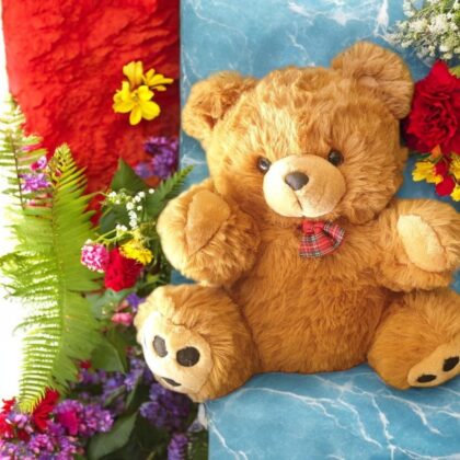 Large Brown Plush Bear