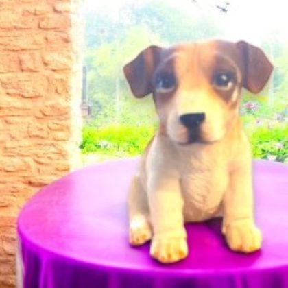 Jack Russell Terrier Puppy Statue