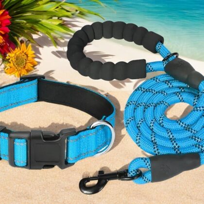 Small Dog Lead And Collar Set