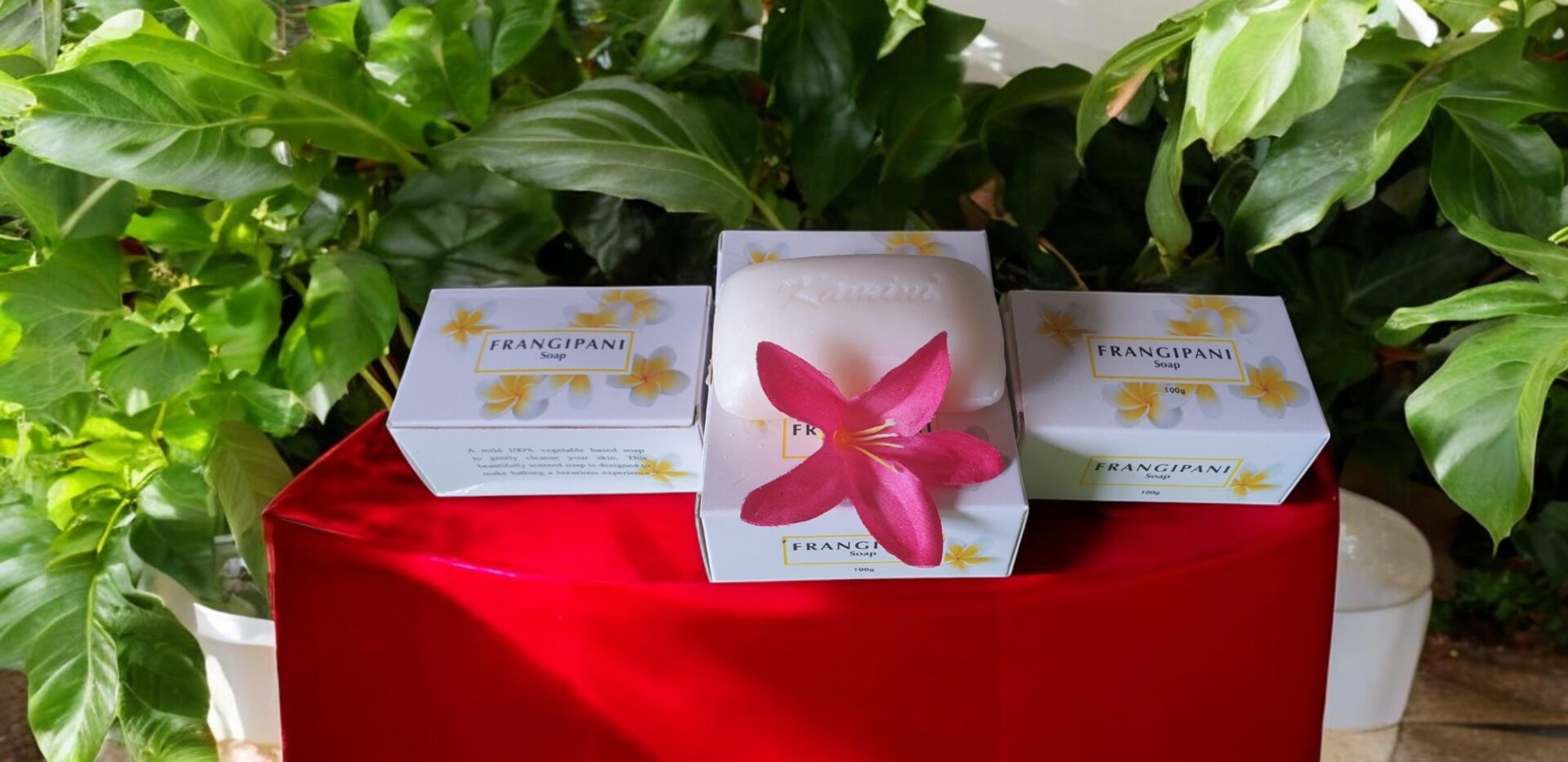 Kamini Frangipani Soap Pack - Image 5