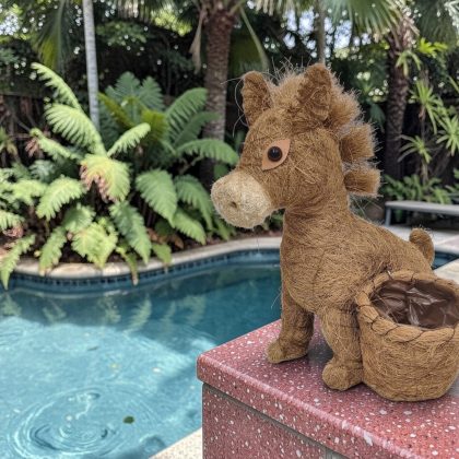 Husk Donkey Planter