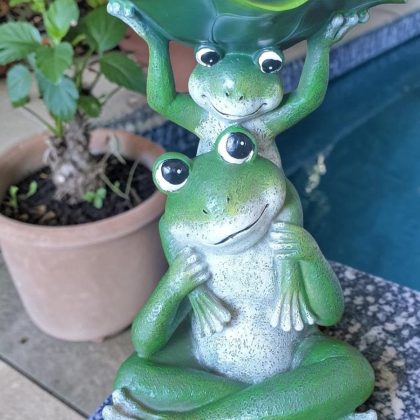 Frog Family Bird Feeder