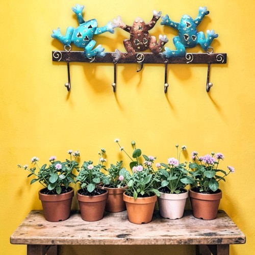 Metal Frog Hook Hanger - Image 6