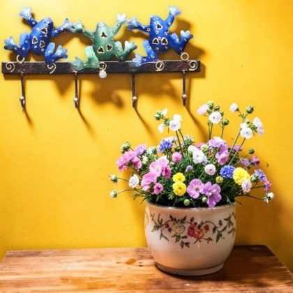 Frog Hook Hanger