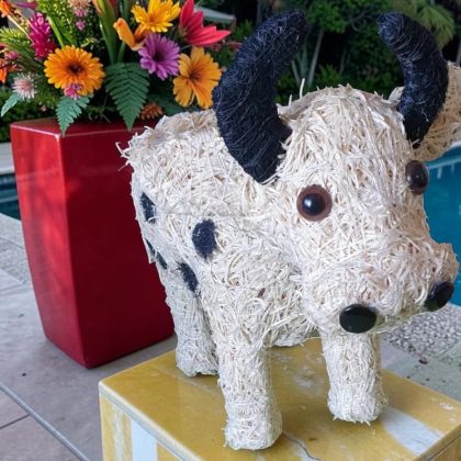 Cow Husk Planter