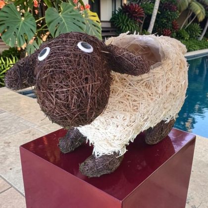 Husk Sheep Planter