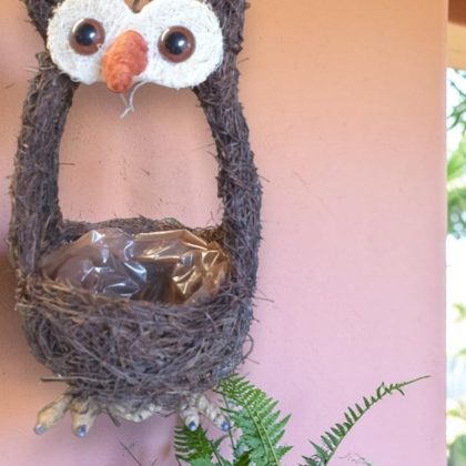 Hanging Owl Planter